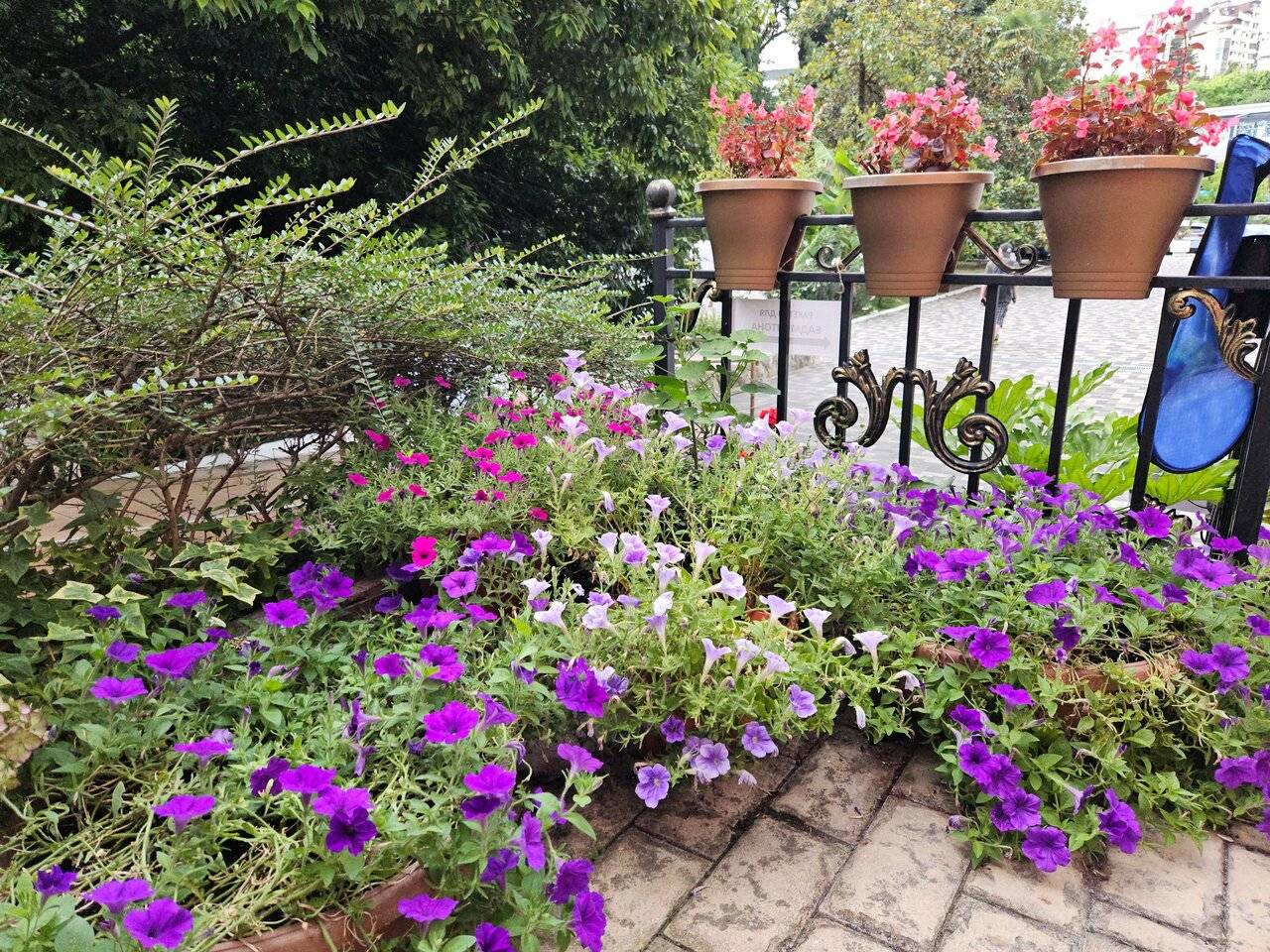 Фото Апартаментов Golden Holiday Сочи 42